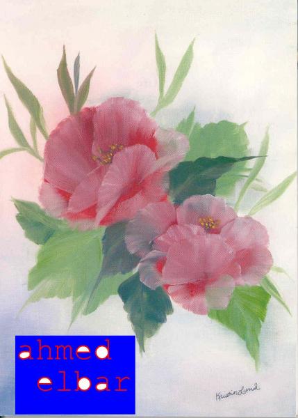 fhbvgjkbfgvnbdsvjknbfvjkhfuyger